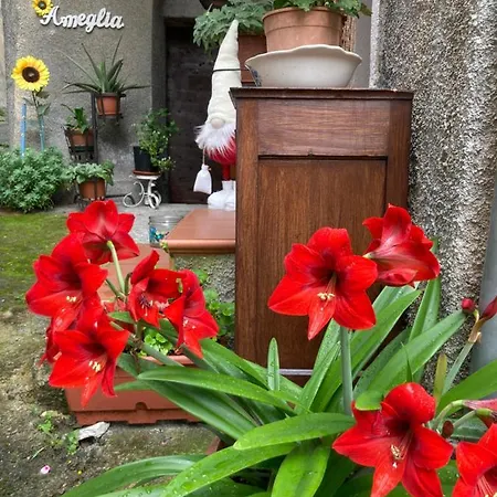 Ameglia Oda ve Kahvaltı Garessio