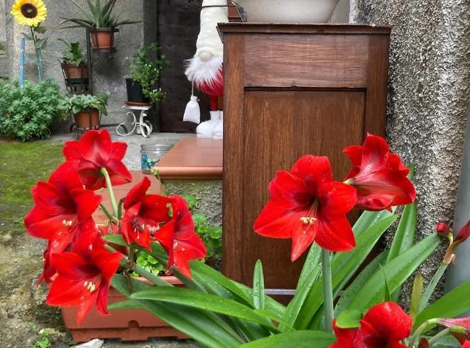 Ameglia Couette-café Garessio